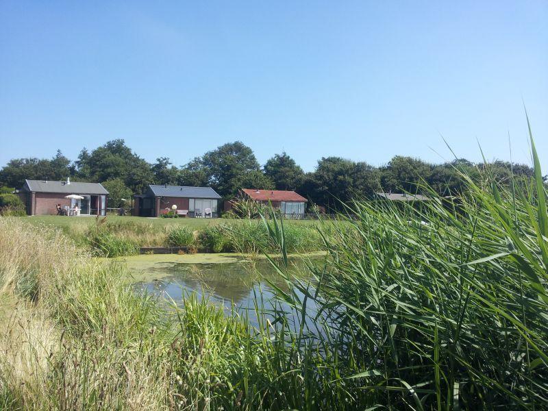 Zonnig Zuid Dirkshorn Quarto foto